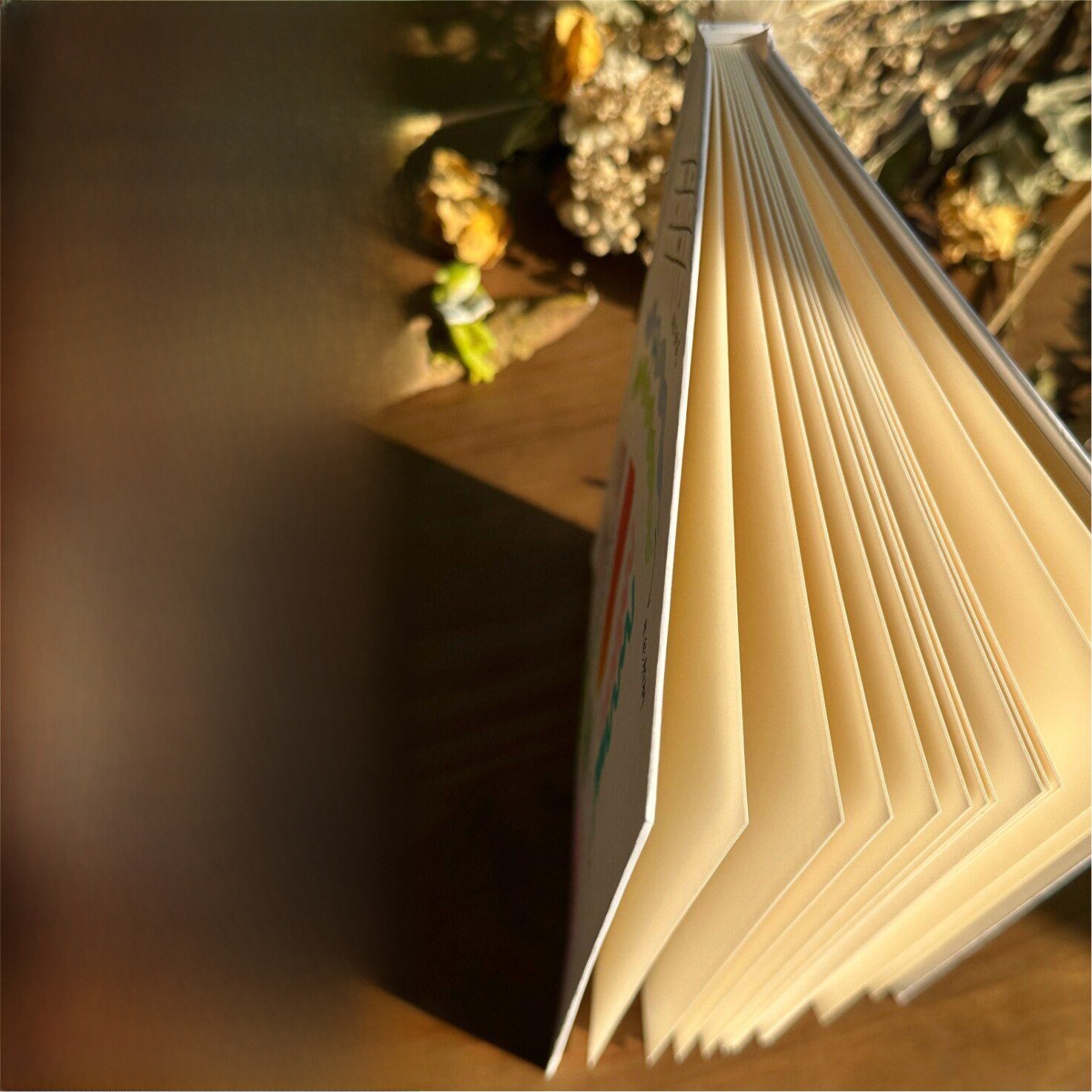 Cuaderno de tapa dura con pági - Journal Leather Hardcover reseña y precio